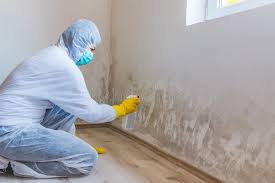 Best Mold Removal for HVAC Installations  in Johnson City, NY